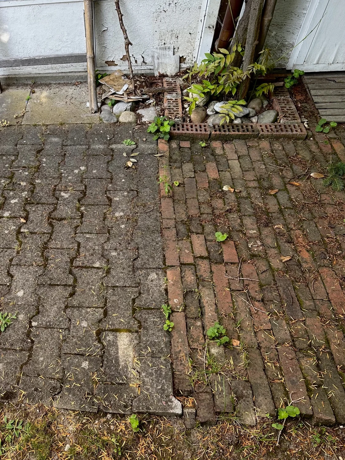Vorplatz mit grauen und roten Pflastersteinen vor der Reinigung