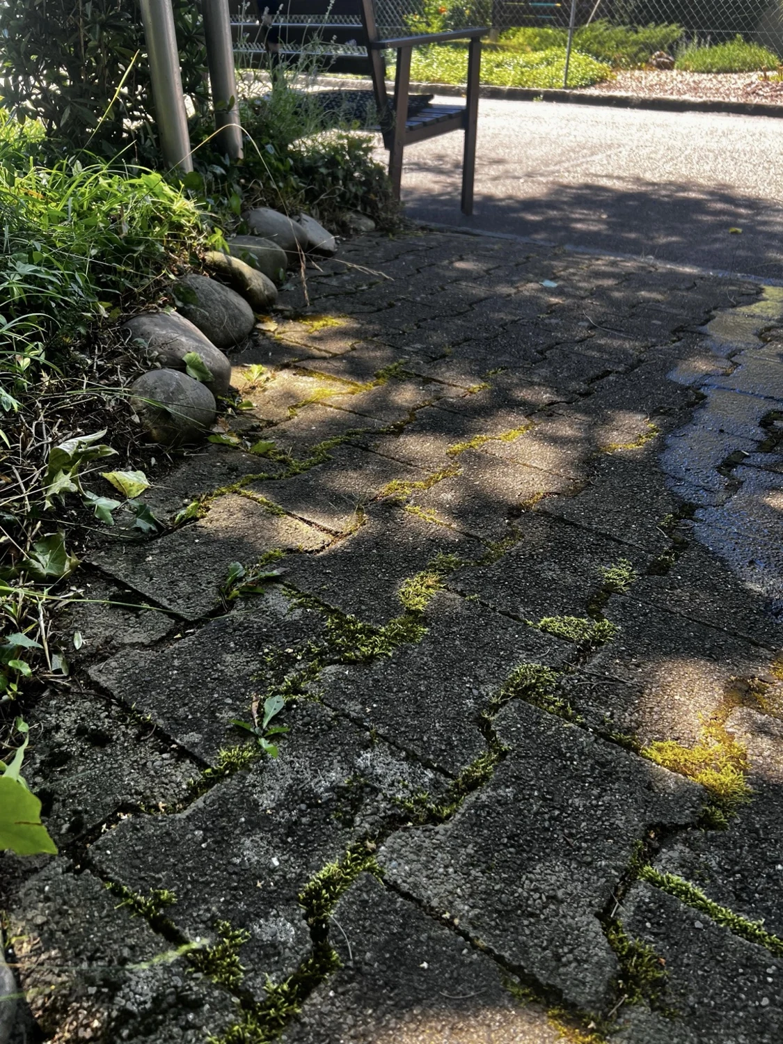 Pflasterweg mit Steineinfassung vor der Reinigung