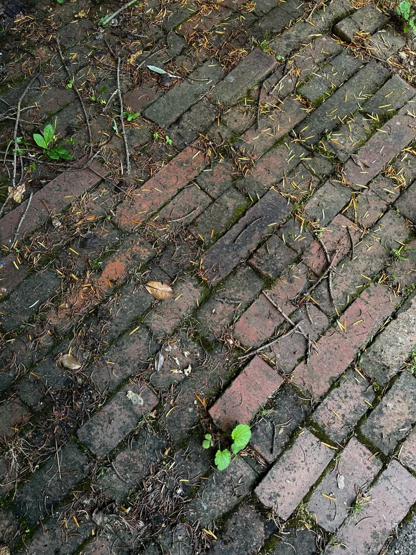 Detailaufnahme der roten Pflastersteine vor der Reinigung