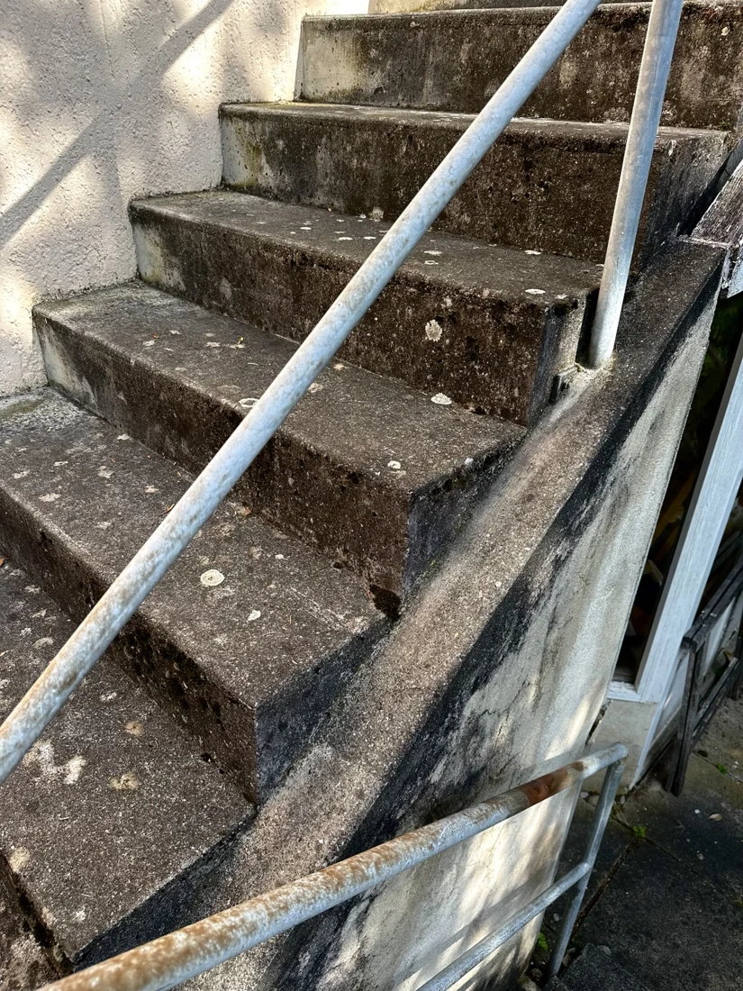 Aussentreppe mit Metallgeländer vor der Reinigung