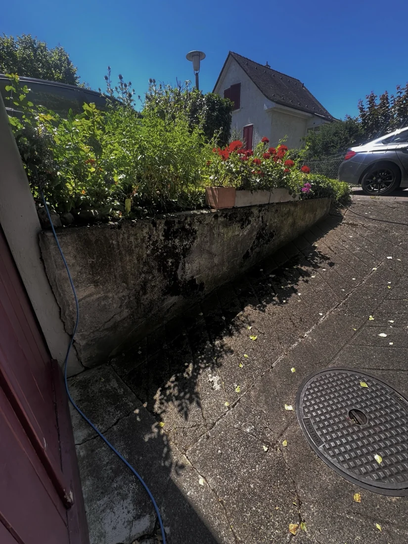Gartenmauer und angrenzender Vorplatz vor der Reinigung